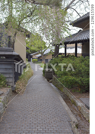 春天的散步道 行屍專用的散步道(小路/小路),初春新綠的季節 春天的散步道 行屍專用的散步道(小路/小路),初春新綠的季節 129615599