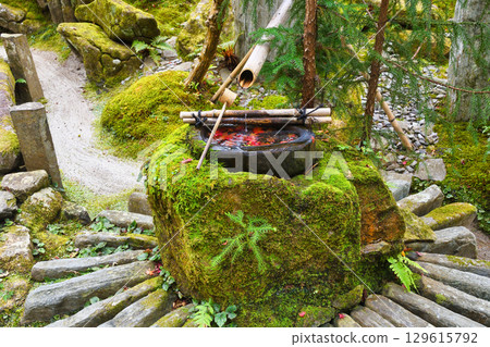 大原寶泉院寶樂園水池的紅葉十分美麗（京都府京都市左京區） 129615792
