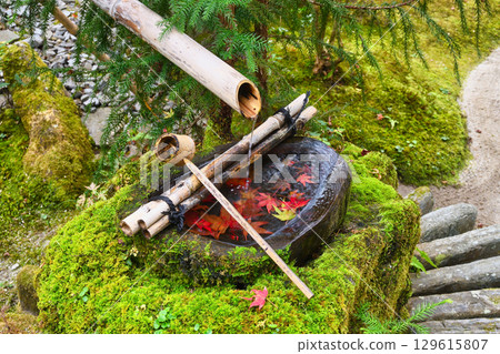 大原寶泉院寶樂園水池的紅葉十分美麗（京都府京都市左京區） 129615807
