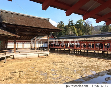 Itsukushima shrine  129616117