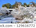 青光明寺的雪 129616772