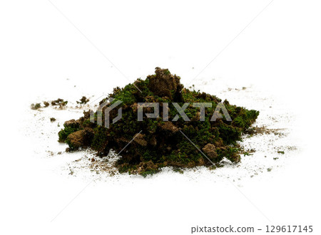 Heap of green moss isolated on white background. Heap of green moss isolated on white background. 129617145