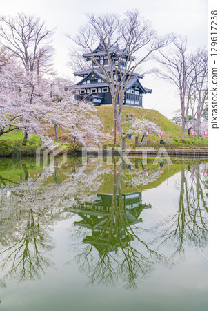 [Niigata Prefecture] Cherry blossoms blooming at Takada Castle Park 129617238