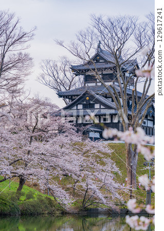 [Niigata Prefecture] Cherry blossoms blooming at Takada Castle Park 129617241