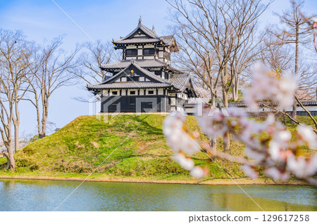 【新潟縣】高田城公園櫻花盛開 【新潟縣】高田城公園櫻花盛開 129617258