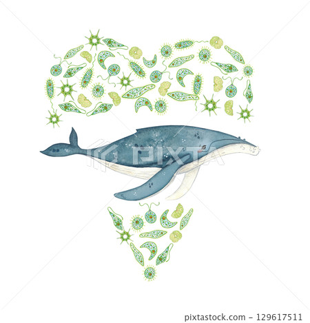 Blue folded phytoplankton with whale inside, watercolor illustration. Ecological emblem for whale day for poster, children's books, print. Biology, ecology, whale, animals, ocean, heart, love 129617511