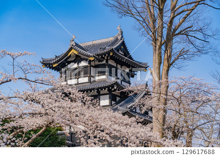 【新潟縣】高田城公園櫻花盛開 【新潟縣】高田城公園櫻花盛開 129617688