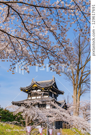 【新潟縣】高田城公園櫻花盛開 【新潟縣】高田城公園櫻花盛開 129617691