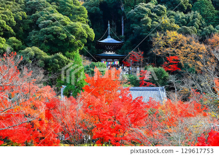 [Kyoto Prefecture] Tahoto Pagoda and Autumn Leaves at Eikando 129617753