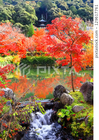 [Kyoto Prefecture] Tahoto Pagoda and Autumn Leaves at Eikando 129617761