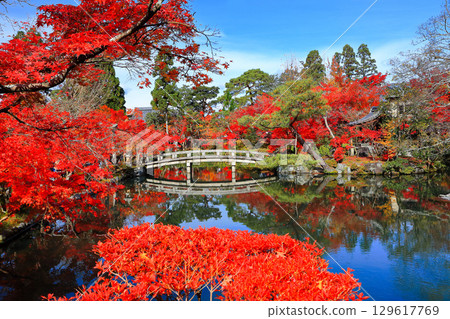 [京都府]永觀堂北條池的紅葉 129617769
