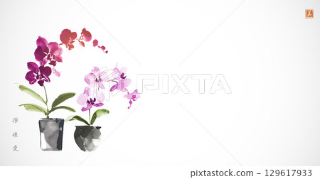Ink painting of two phalaenopsis orchids on white background. Traditional Japanese ink wash painting sumi-e. Hieroglyphs - joy, well-being, love, beauty 129617933