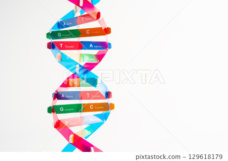 DNA molecule spiral structure model isolated on white background, chromosome and gene chemical science biology. 129618179