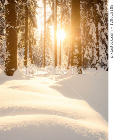 Sunlight filtering through the trees in a snow-covered forest 129618188