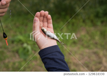 Child's hand holding small fish during fishing activity outdoors Child's hand holding small fish during fishing activity outdoors 129618330