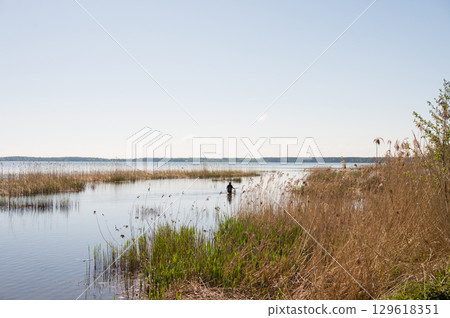 Serene river landscape with lush reeds and clear sky Serene river landscape with lush reeds and clear sky 129618351
