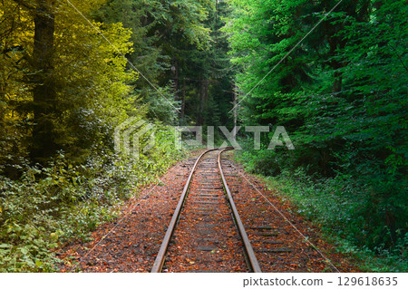 Curving railway tracks surrounded by dense trees Curving railway tracks surrounded by dense trees 129618635