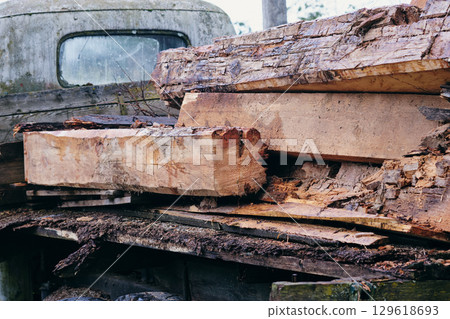 Stacked logs on an old truck in a forest setting during a cloudy day 129618693