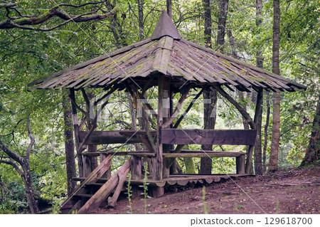 Rustic wooden gazebo in a lush forest setting surrounded by vibrant greenery during a tranquil afternoon Rustic wooden gazebo in a lush forest setting surrounded by vibrant greenery during a tranquil afternoon 129618700