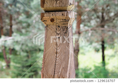 Close-up view of weathered wooden column in outdoor park setting 129618707