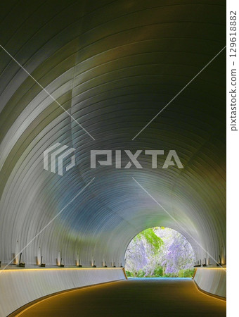 Reflection on the tunnel ceiling Cherry Blossom Tunnel 129618882