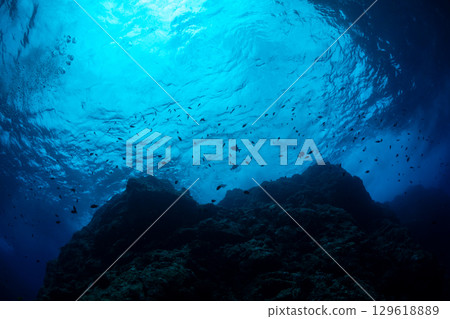 仰望海面，小笠原 129618889