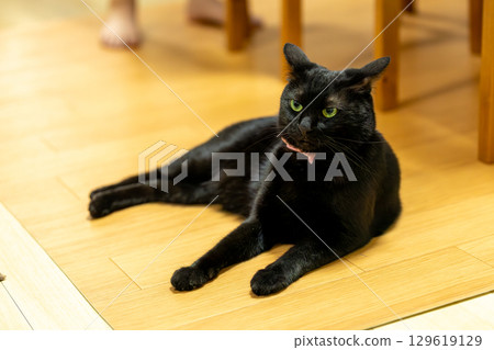 黑貓 129619129