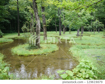 Water Garden (Sound of Innocent) Nasu Highlands Water Garden (Sound of Innocent) Nasu Highlands 129619879