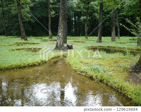 水上花園(純真之聲)那須高原 水上花園(純真之聲)那須高原 129619884