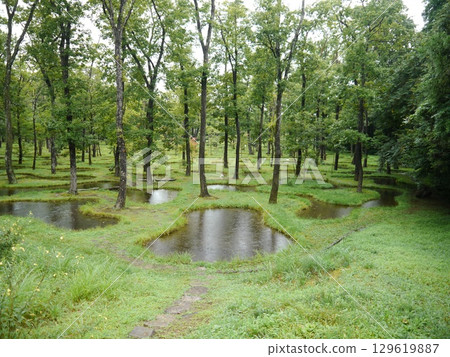 水上花園(純真之聲)那須高原 水上花園(純真之聲)那須高原 129619887