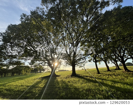 Midsummer sunset 129620053