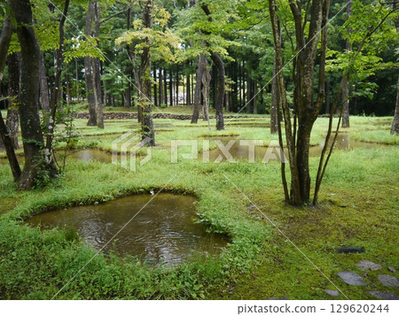Water Garden (Sound of Innocent) Nasu Highlands 129620244