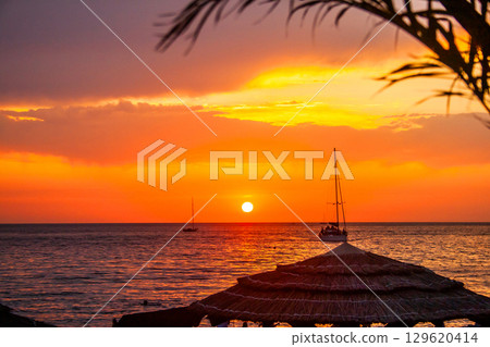 Beautiful sunset above sea. Palm tree and bungalow roof. Photo Wallpaper Beautiful sunset above sea. Palm tree and bungalow roof. Photo Wallpaper 129620414