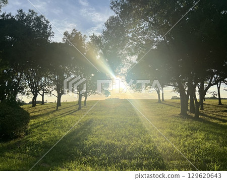 夏天日落 129620643