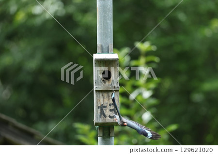 佛 129621020