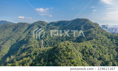 Aug 9 2025 the landsape of nature trails in Kam Shan Aug 9 2025 the landsape of nature trails in Kam Shan 129621167