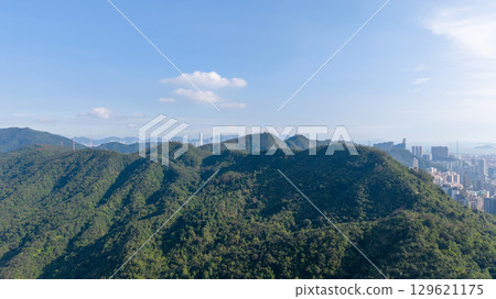 Aug 9 2025 the landsape of nature trails in Kam Shan 129621175