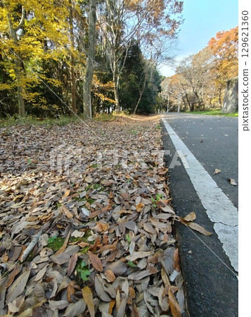 路邊堆積的落葉 路邊堆積的落葉 129621360