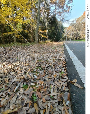 路邊堆積的落葉 路邊堆積的落葉 129621362