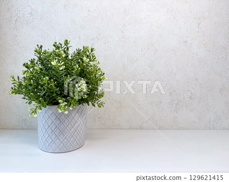 Ceramic pot in front of a white wall Ceramic pot in front of a white wall 129621415