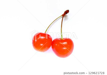 Cherry cherry 129621728