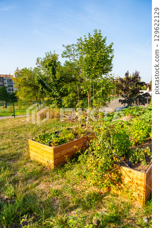 Urban community garden in Zizkov, Prague, Czech Republic. Sustainable green space with planting beds surrounded by modern apartment buildings in the heart of the city Urban community garden in Zizkov, Prague, Czech Republic. Sustainable green space with planting beds surrounded by modern apartment buildings in the heart of the city 129622129