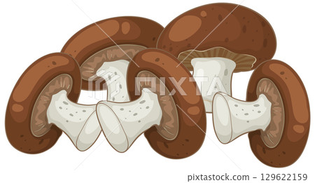 Brown Mushrooms Cluster Vector Illustration 129622159