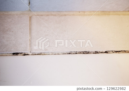 Moldy Bathroom Tile 129622982