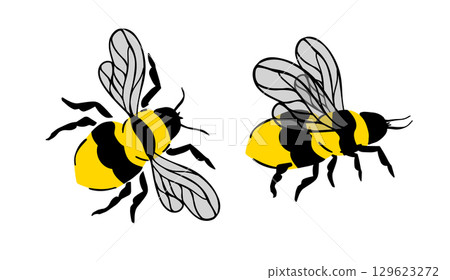 Cute Bee Vector, Bee Kids Vector, Honey Bee Vector, Bee Cartoon Image. hand drawn. Not AI, Vector illustration Cute Bee Vector, Bee Kids Vector, Honey Bee Vector, Bee Cartoon Image. hand drawn. Not AI, Vector illustration 129623272