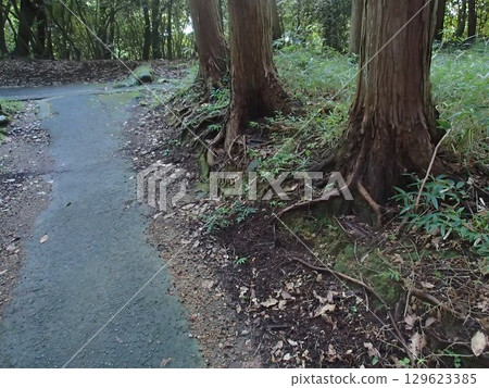 里山 里山 129623385