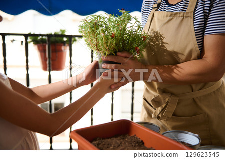 Mother and Daughter Sharing Gardening Moments on a Sunny Balcony Mother and Daughter Sharing Gardening Moments on a Sunny Balcony 129623545