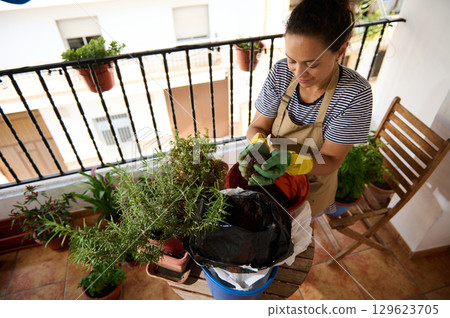Woman Gardening on Balcony with Potted Plants and Greenery 129623705