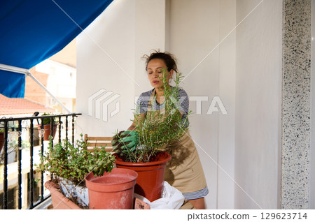 Woman Gardening on a Balcony with Pots Full of Greenery 129623714