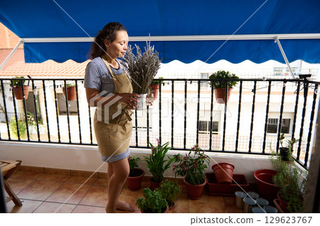Woman Gardening on a Balcony with Lavender and Potted Plants Woman Gardening on a Balcony with Lavender and Potted Plants 129623767